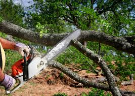 Mulching Services in San Angelo, TX